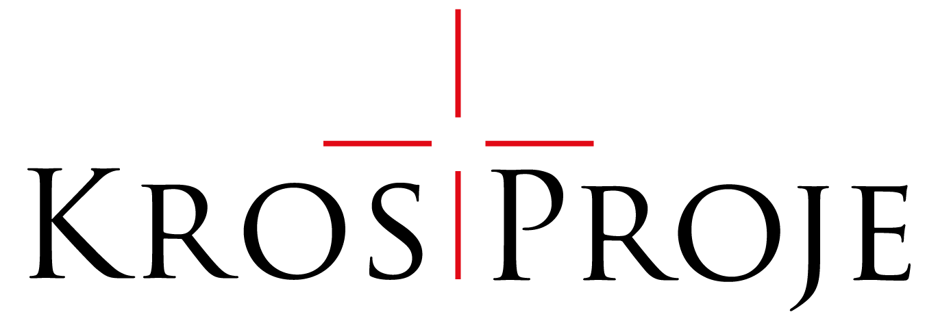 Tasarım ve Uygulama (Design-Build)